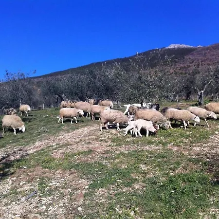 Apartamento In Umbria With Shared Pool Mantignana