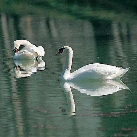 In Umbria With Shared Pool *